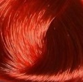 Купить Крем-краска Уход для волос Century classic permanent color care cream (CL218310, 8.55, светло-русый красный насыщенный, 100 мл, Light brown Collection), Nexxt (Германия)
