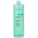 Увлажняющий шампунь для сухих волос Purify-Hydra Shampoo (1000 мл) интенсивно увлажняющий тоник hydra perfect