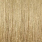 Illumina Color - Стойкая крем-краска (81639682/1617, 10/93, Яркий блонд золотистый сандре, 60 мл, Холодные оттенки)