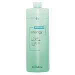 Интенсивный энергетический шампунь с ментолом Purify-Energy Shampoo 3089₽