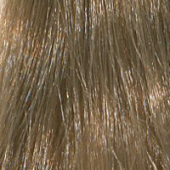 Набор для фитоламинирования Luquias Proscenia Max M (0238, CB/P, холодный блондин, 150 г) набор для фитоламинирования luquias proscenia mini m v m средний шатен фиолетовый 150 мл базовые тона