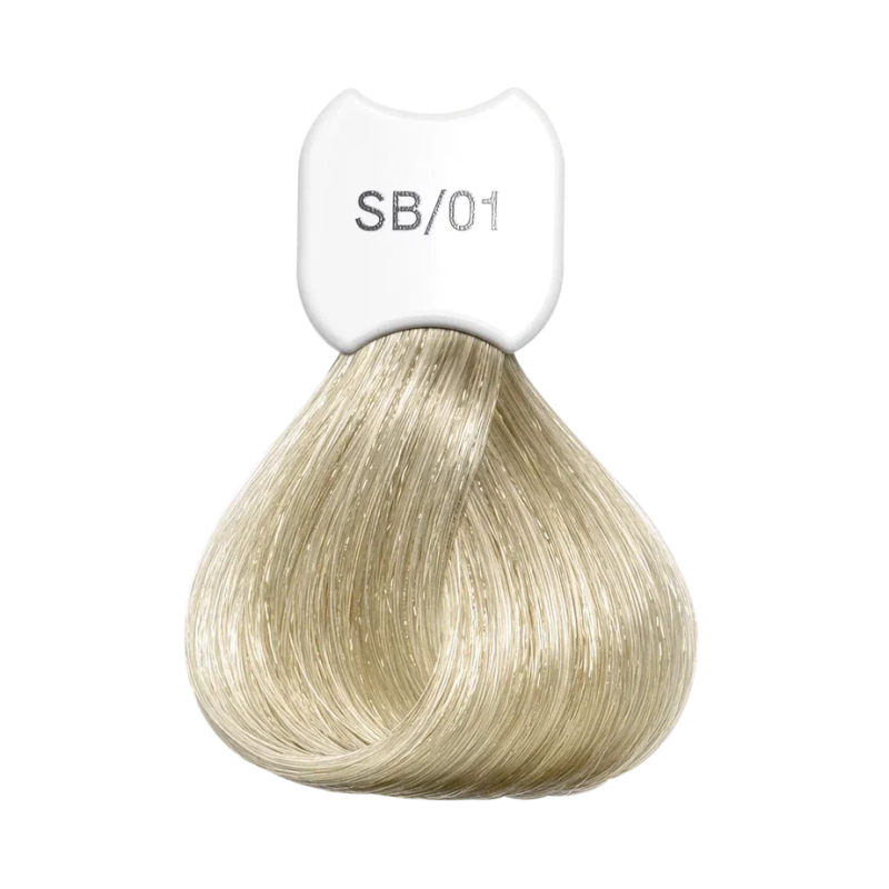 Крем-краска для волос Экстра светлый блонд Blonde Beauty Super Lightening Hair Color Treatment Cream (KSBSB01, SB01, Super blonde ash blonde beauty, 60 мл)