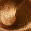 Купить Крем-краска Уход для волос Century classic permanent color care cream (CL214230, 8.33, светло-русый насыщенный золотистый, 100 мл, Light brown Collection), Nexxt (Германия)