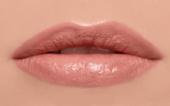 Увлажняющая губная помада (83644, 204, 204, 1 шт) l oréal paris увлажняющая губная помада color riche