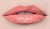Увлажняющая губная помада (97838, 213, 213, 1 шт) l oréal paris увлажняющая губная помада color riche