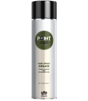 Спрей-блеск для волос с легкой фиксацией Point Hair Spray Grease (Farmagan)