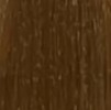 Гель-краска Colordream (91147, 9.32, блондин бежевый, 100 мл) гель лак pashe nude collection 14 камуфлирующий бежевый 9 мл