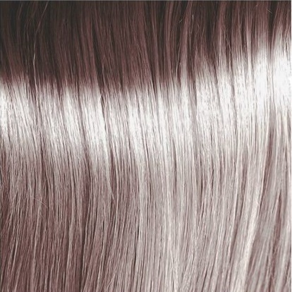 Полуперманентный краситель для тонирования волос Atelier Color Integrative (8051811451019, 9.16, блондин пепельно-фиолетовый, 80 мл, Оттенки блонд) полуперманентный краситель для тонирования волос atelier color integrative 8051811451088 s серебряный 80 мл оттенки блонд