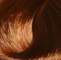 Купить Крем-краска Уход для волос Century classic permanent color care cream (CL221830, 8.44, светло-русый насыщенный медный, 100 мл, Light brown Collection), Nexxt (Германия)