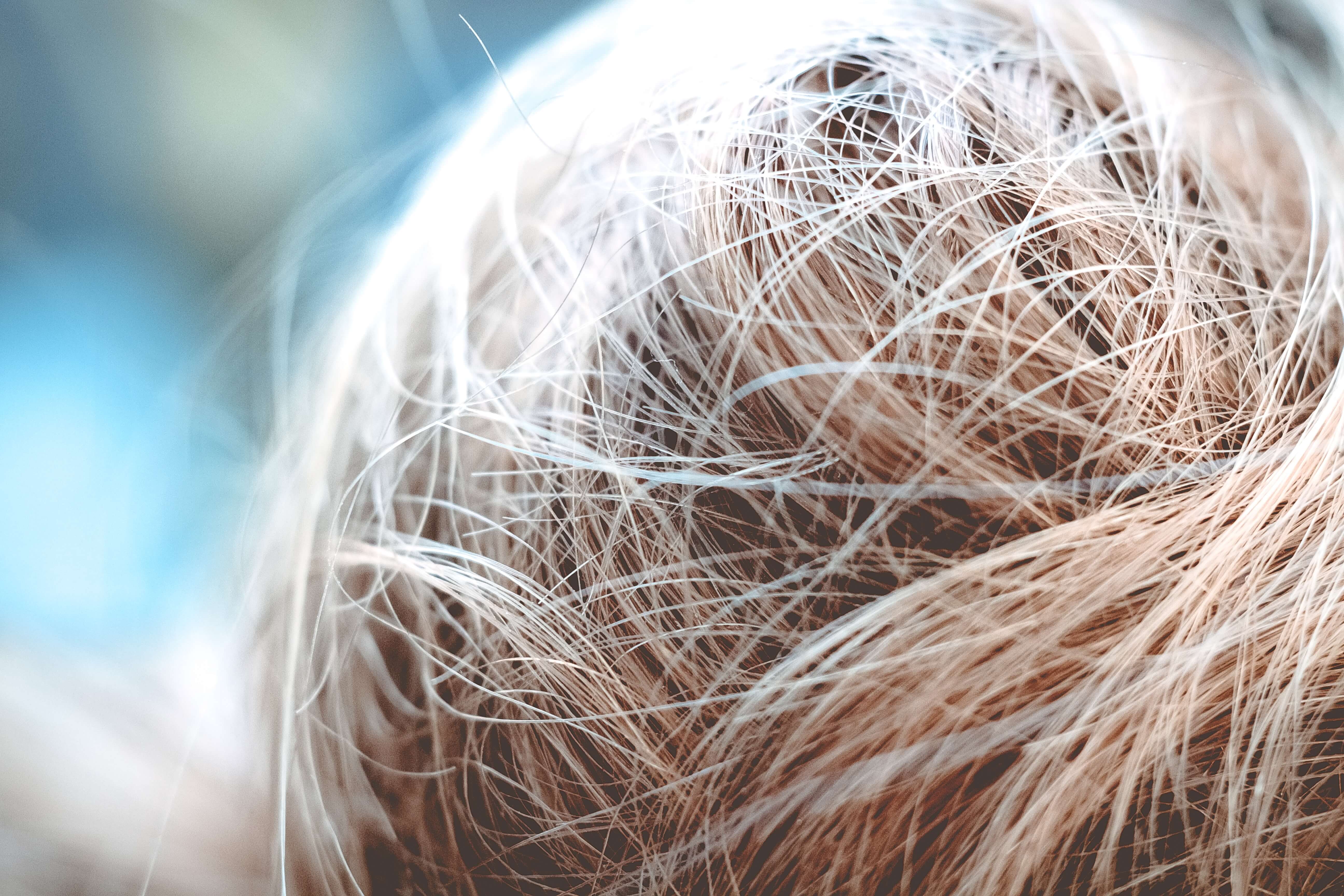 Можно ли спасти сухие волосы? Kosmetika-proff.ru