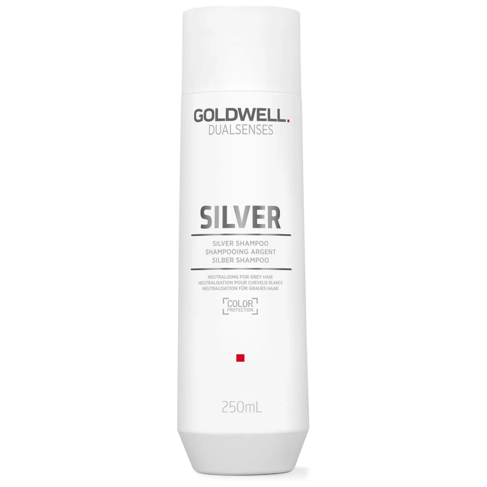 Корректирующий шампунь для седых и светлых волос DS SILVER