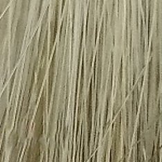 Стойкая крем-краска для волос Aurora (54703, 10.1, пепельный блондин, 60 мл, Коллекция светлых оттенков)