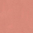 Румяна для лица Blush (420005929, 02, абрикос, 5 г)