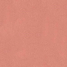 Румяна для лица Blush (420005929, 02, абрикос, 5 г)