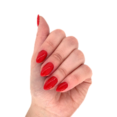 Гель-лак Layba Gel Polish (1100R25-653, N.653, Selfie Red, 5 мл)